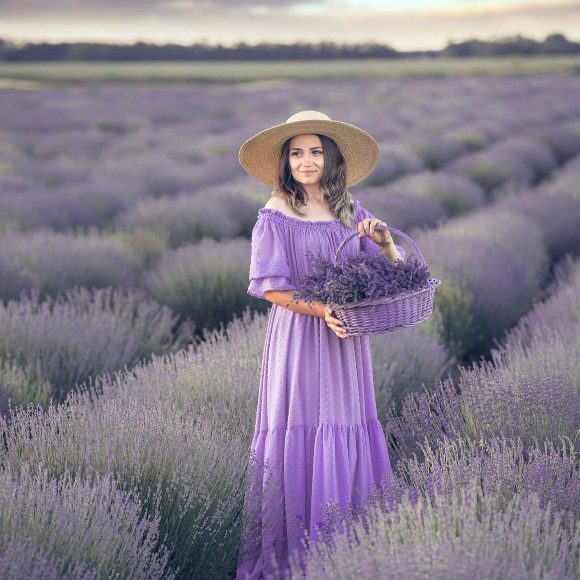 Rezultatul plantării butașilor de lavandă - cultură matură și înflorită la Romanța Lavandei.