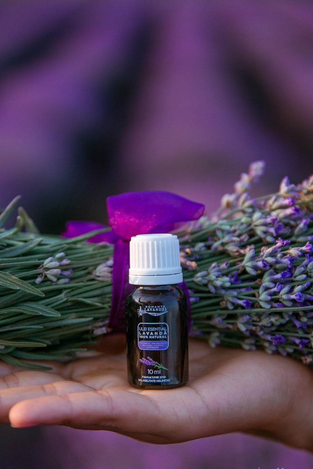 Ulei esențial de lavandă Romanța Lavandei, distilat cu aburi